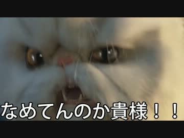 人気の キャッツ ドッグス 動画 14本 ニコニコ動画