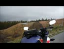 【CBR250R】松本城へとことこ行ってきた【はれそだ】