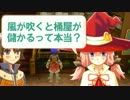 【実況】いざルーンファクトリーフロンティアの初見実況ヲ。【Part46】