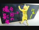 愛犬ナナと暮らしましょう（1年と193日目）～ここは俺がくいとめる～