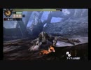 【MH4】村リオレイア 猟虫ソロ