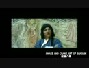 ジャッキー映画総集編clip蛇鶴八拳