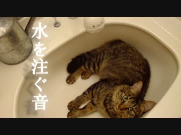 水を注ぐ音【バイノーラル録音】