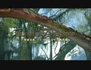 【新生FF14】ブレイフロクス野営地 アイアタル戦（詩人視点）
