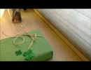 【音フェチ】ノートカバーをラッピング