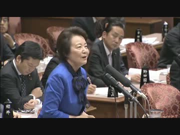 H25/10/23 参議院予算委員会・山谷えり子 1/2