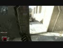 [PC]call of duty black ops2 FFAその8