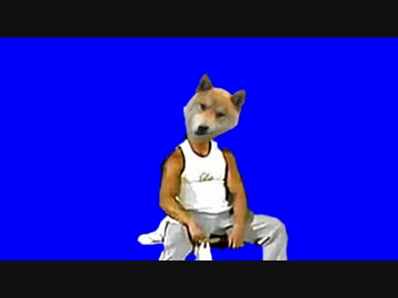 ビオわんこBB