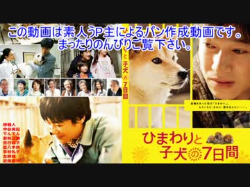 【31作目】ベーコンオニオンソレイユ作ってみた【パン作成】