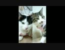 懐かしのj-pop 1