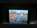ポケモンXY ランダム対戦 VS ざべす