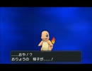 【ポケモンXY】ぼくとカロスな仲間たちpart7【実況】