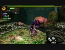【MH4】鬼門番の娘が往く！part21