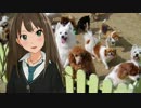 【novelsm@ster】渋谷凛の観察日記　Part17