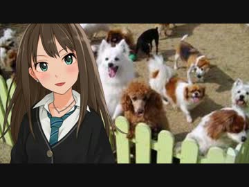 【novelsm@ster】渋谷凛の観察日記　Part17