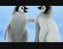 【SWEET  MEMORIES】松田聖子 Classical Guitar Solo.mp4