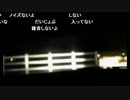 20131031-2 NER=ネル 【車載配信】河口湖から富士樹海で車中泊 3