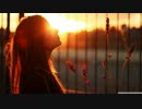 1曲で聴く 思わずテンションが上がる名曲集 Part.9『Free』[最高音質]