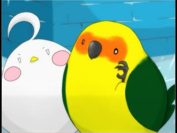 【飛べば良いじゃん】 飛べない鳥はただの…可愛い鳥じゃないか！ part3