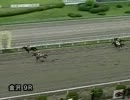 2013年7月14日金沢競馬9R 観音祭り特別(A-1組) ジャングルスマイル