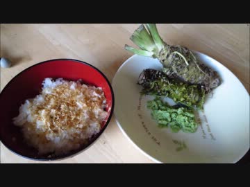 【孤独のグルメ】わさび丼