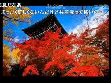 日本共産党に電凸したら、反対に説教されちゃった。