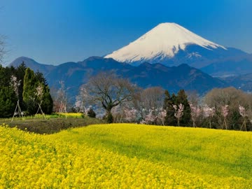 がんばれゴエモン:ふじやま道中は旅のはじまり(耳コピ)