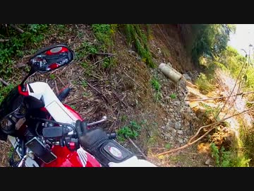 ボルドールで冒険してきた