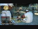 【FF14】 新生エオルゼア 初見でハラタリ修練所 【PS3】