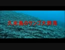 地球温暖化によるサンゴの白化は真実なのか？