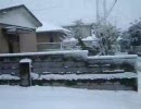 鬼は雪のため欠席です