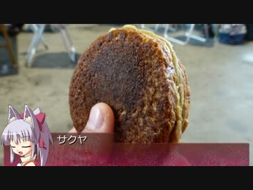 【そくドラ！外縁隊】神様とイベント巡りしよう　５【AF浜松】