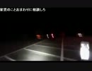 20131101-1 NER=ネル 【車載心霊配信】富士山樹海に来た… 2