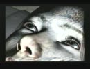 [悪夢なだけに]零～刺青の聲Part3[難易度ナイトメア]