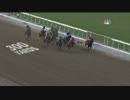 【俺的ホモ動画】 2013 Breeders' Cup Classic ﾑｩﾁｮｫ！ﾏｯﾁｮﾒｪｪﾝ！！