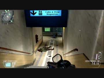 bo2 KSG
