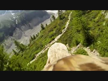 ちょっと鳥になってみた