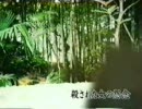 きもだめし　「呪われた心霊写真　第弐章」