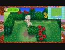 とびだせ　どうぶつの森　マイペースにプレイ３５７～３５８日目