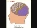 シェンムーで脳内メーカーやってみた。