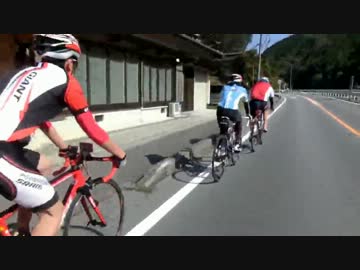 【ロードバイク】弱虫ペダルの曲を使って高校生が走った【リクライム】