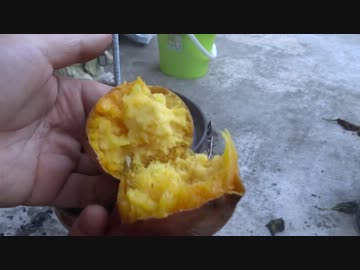 【野外ご飯】 やきいもに挑戦した日のこと 【安納】