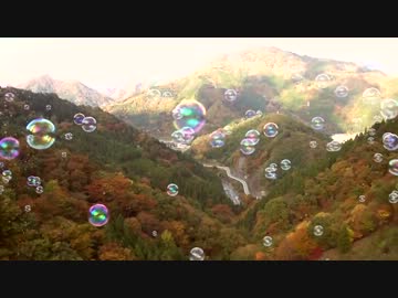 上野村スカイブリッジへ　お散歩　紅葉タンデムツーリング