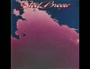 Steel Breeze - You Don't Want Me Anymore