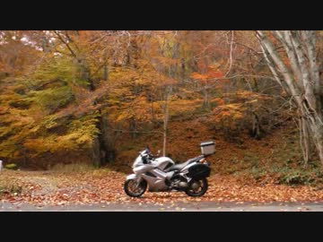 【紅葉】　日光リベンジツーリング　【最高】