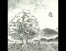 【BUMP OF CHICKEN】太陽をアコギのみで【演奏してみた】