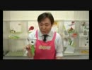 キャベツピーラー福島先輩
