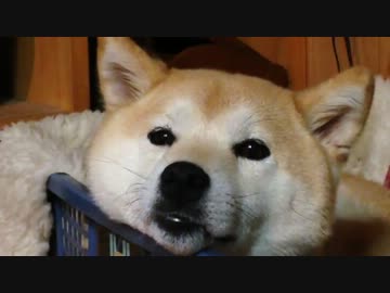 ル〜ルル〜ラ〜ララ〜