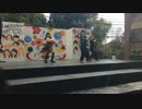 【ミラーメロディ】湊川短期大学　湊成祭【踊ってみた】