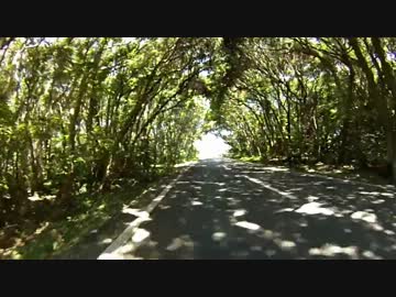 【自転車】2013年南紀ツーリング【写真・動画】part11